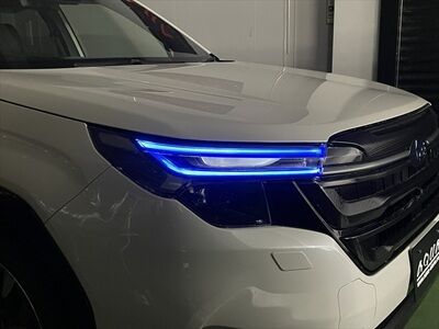 デイライトフィルム (1)_800