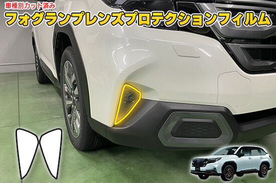 FORESTER_SL_FogProtection