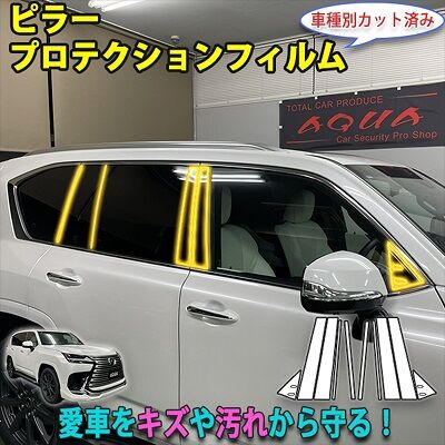 LX600_PillarProtection_800