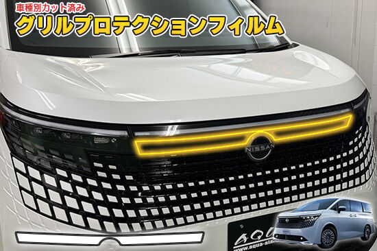 ELGRAND_E53_GrillProtection