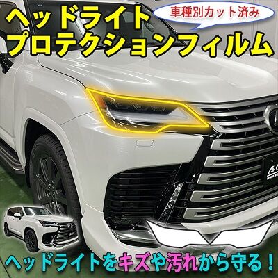 LX600_HeadlightProtection_800
