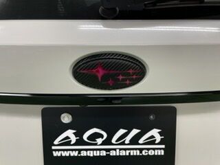 1D29A824-6A73-4173-A9FB-B9E22B7EE14A