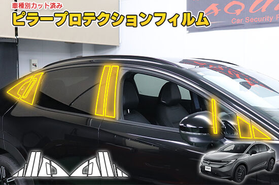 LEAF_ZE2_PillarProtection