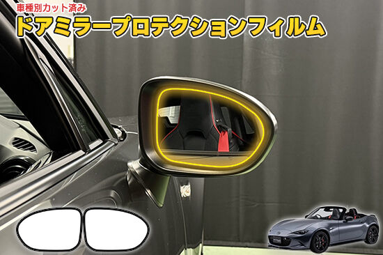 NDE_DoorMirorProtection