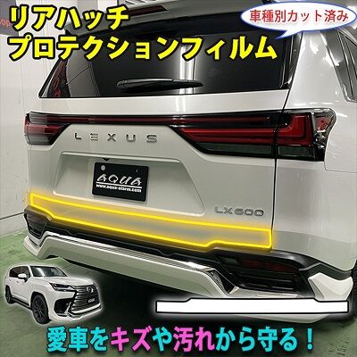LX600_RHatchProtection_800
