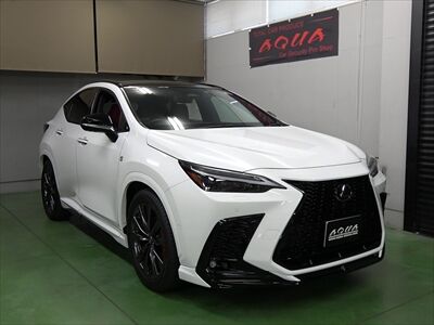 nx350h_panthera_1_400
