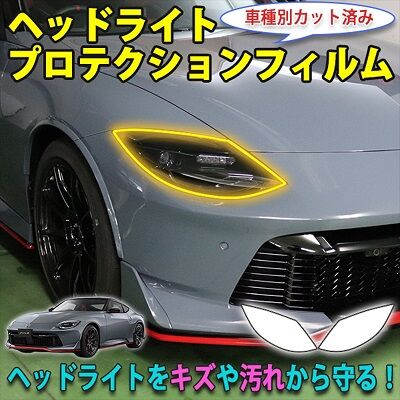RZ34_HeadlightProtection_800