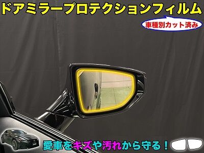 IS300_DoorMirror_800