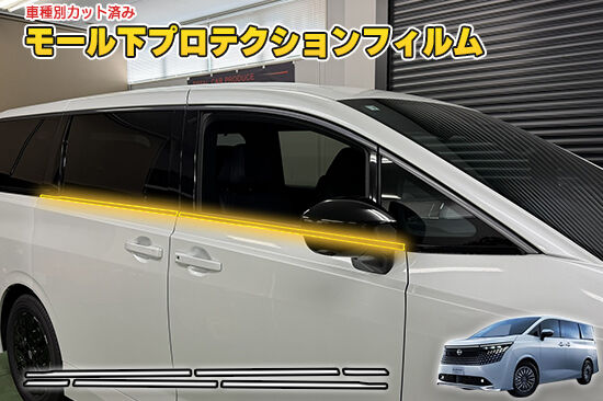 ELGRAND_E53_UMolleProtection