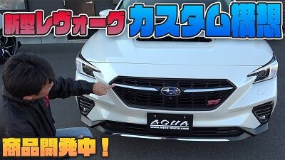 levorgcustomthumbnail
