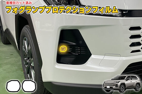 RAV4_60_FogProtection