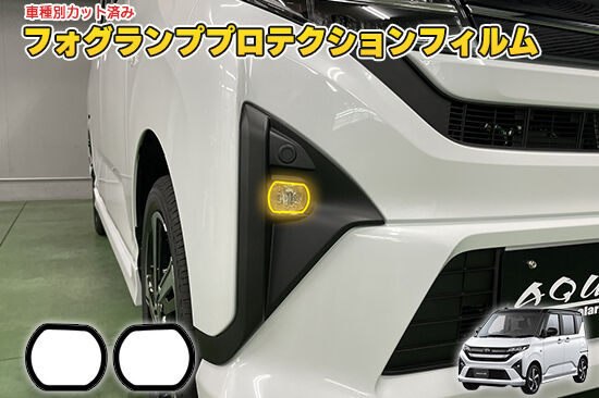 MOVE850_FogProtection