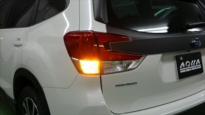 foresterRDsmart3_400