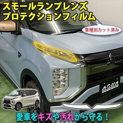 EK_X_EV_SmallLamplProtection_800