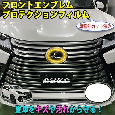 LX600_FEmblemProtection_800