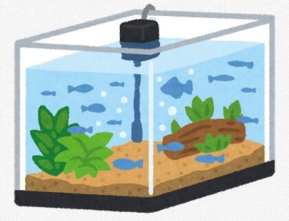 謎 割とマジで アクアリウム が流行らない理由ってなんなんや 自粛でも楽しめてお金もかからないというのに 吹き出し型2chまとめ Line2ch 謎 割とマジで アクアリウム が流行らない理由ってなんなんや 自粛でも楽しめてお金もかからないというのに 吹き出し型2chまとめ Line2ch