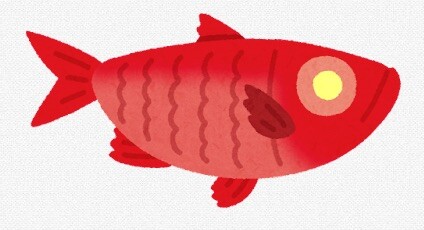 キンメダイのイラスト（深海魚）