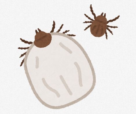 キャプチャ