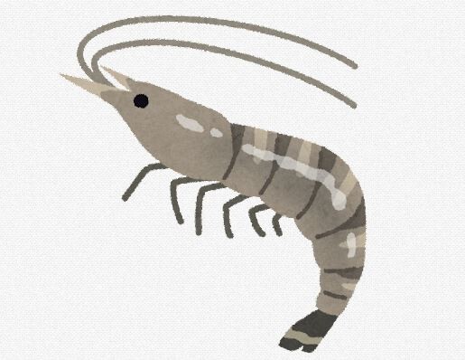 アクアカタリスト