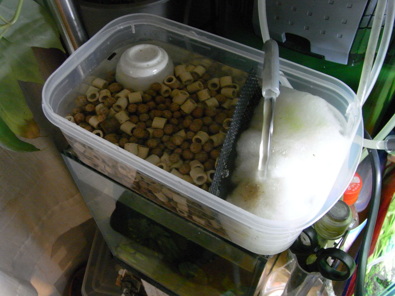 自作上部濾過改造したったｗｗｗ さぁ 外に出よう