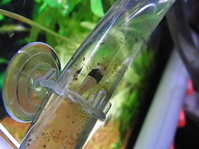 準備 さぁ 外に出よう