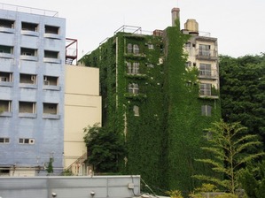 IMG_0846s