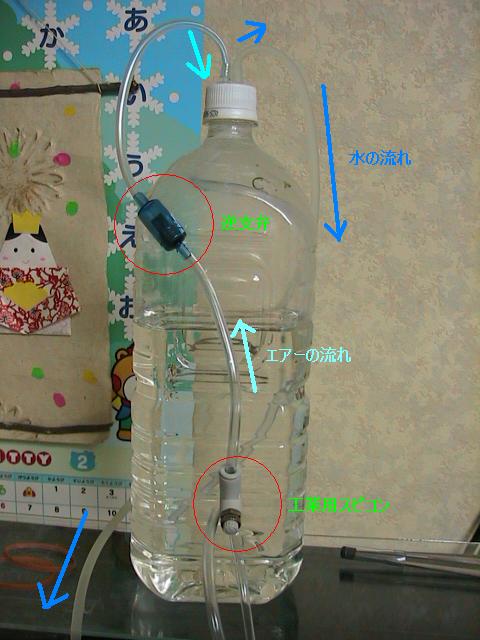 コリドラス導入 にわかアクアリストへの道