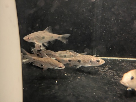 PXL_20241126_114428508