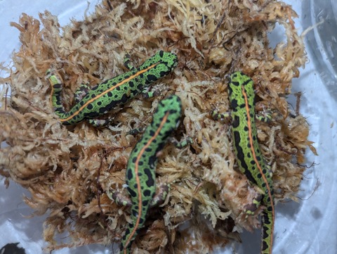 PXL_20240906_083914814