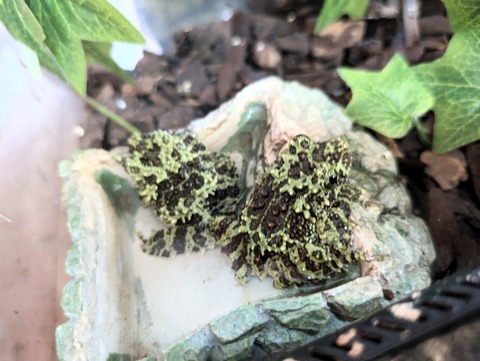 PXL_20240806_091532636~2