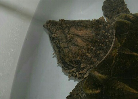 IMG_20171027_221449_367