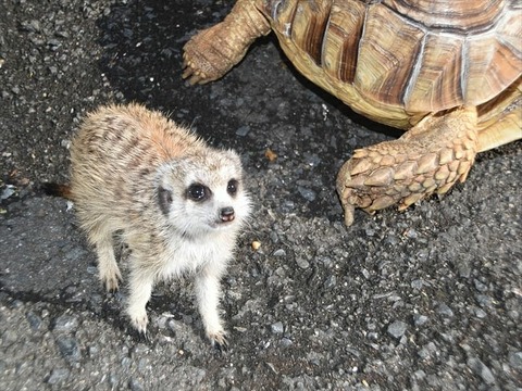 IMG_20200227_162940_998