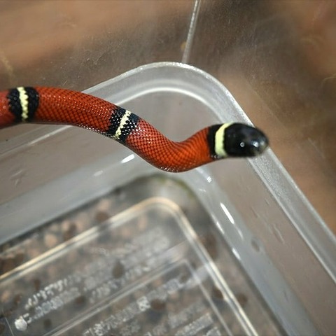 IMG_20191221_232048_593