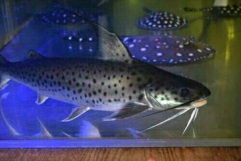 IMG_20170307_090557_985