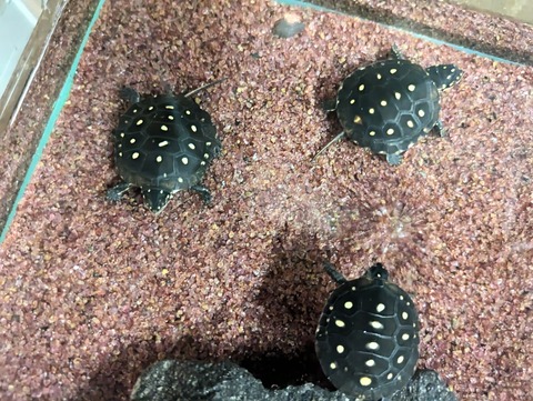 PXL_20240927_094213153~2