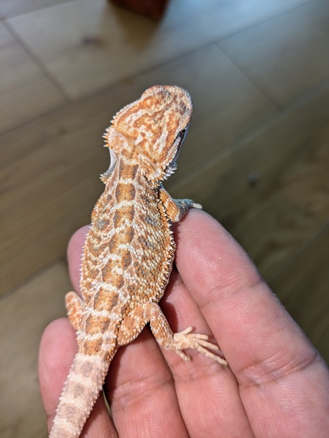 PXL_20240725_013436838