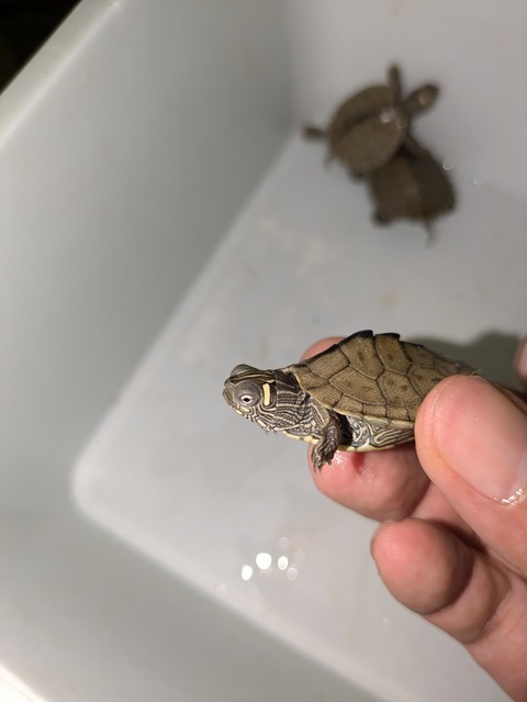 PXL_20240926_094959080