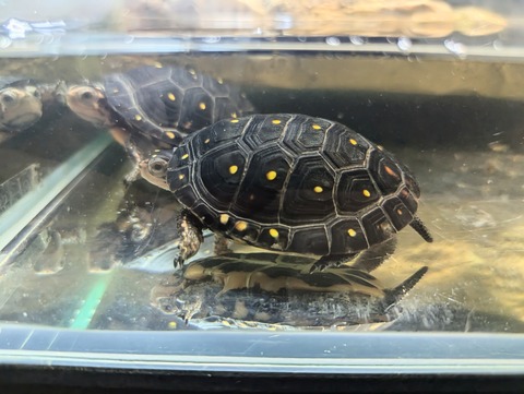 PXL_20240930_081939427~2