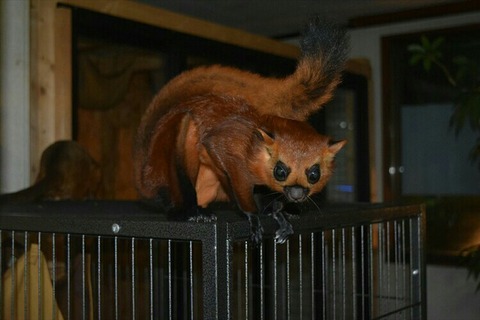 [画像:2b1dd030-s.jpg]