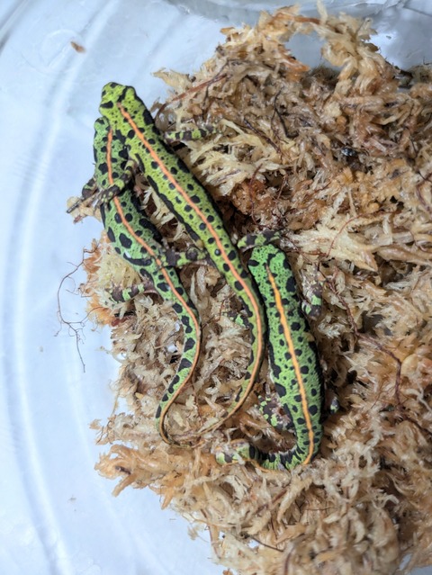 PXL_20240906_083905467~2