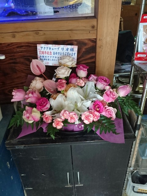 [画像:2e58bc7c-s.jpg]