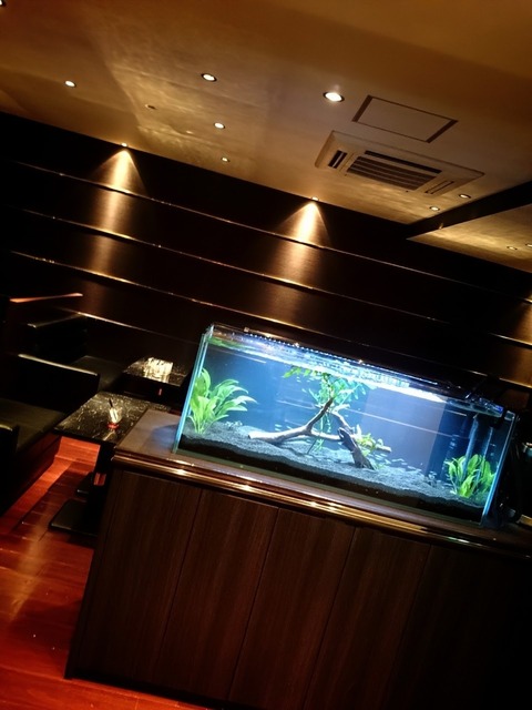 2014-12-04-17-45-37_deco~2