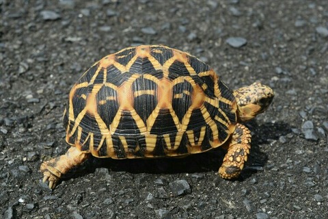 [画像:36ad05a6-s.jpg]