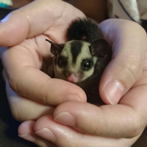 [画像:39b236ce-s.jpg]