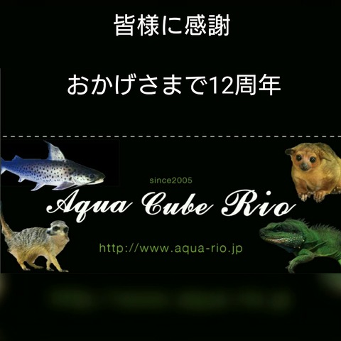 [画像:3c3e41ff-s.jpg]