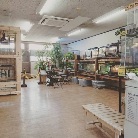 IMG_20180803_140117_053