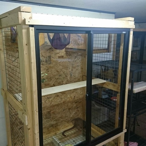 IMG_20180127_205301_109