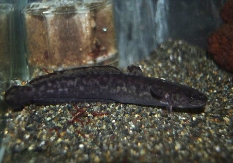 IMG_20181022_115555_858