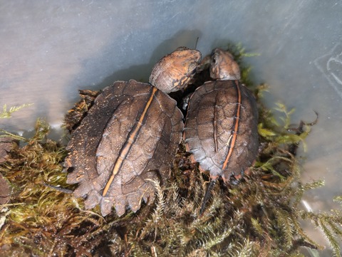 PXL_20240926_094041114