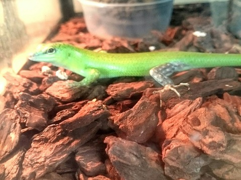 [画像:4d673359-s.jpg]